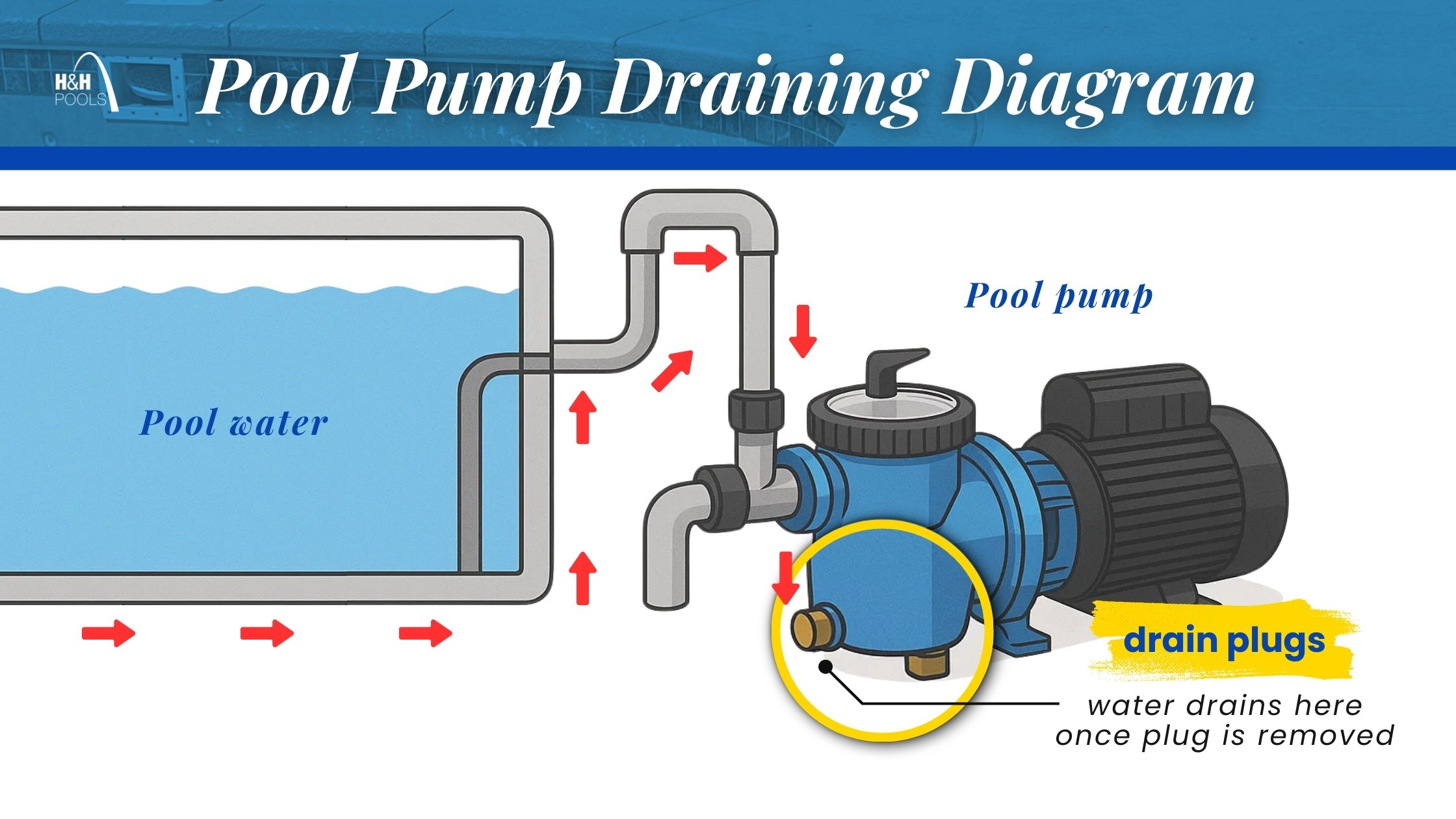 H&H_September 2025_blog2_Pool Pump Draining Diagram Diagram showing a pool pump with arrows for water flow and a callout highlighting the two drain plugs used to empty the pump.