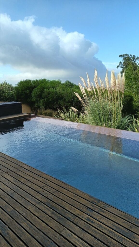 Modern Infinity Edge Pool With Wood Deck Modern infinity edge swimming pool with clear blue water, wood pool deck, ornamental grasses, lush landscaping, and open sky.
